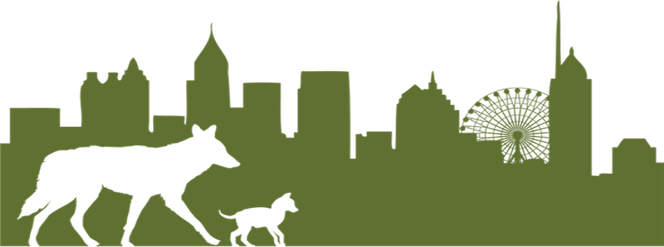 Atlanta Coyote Project - Atlanta Skyline Silhouette (950x354), Png Download
