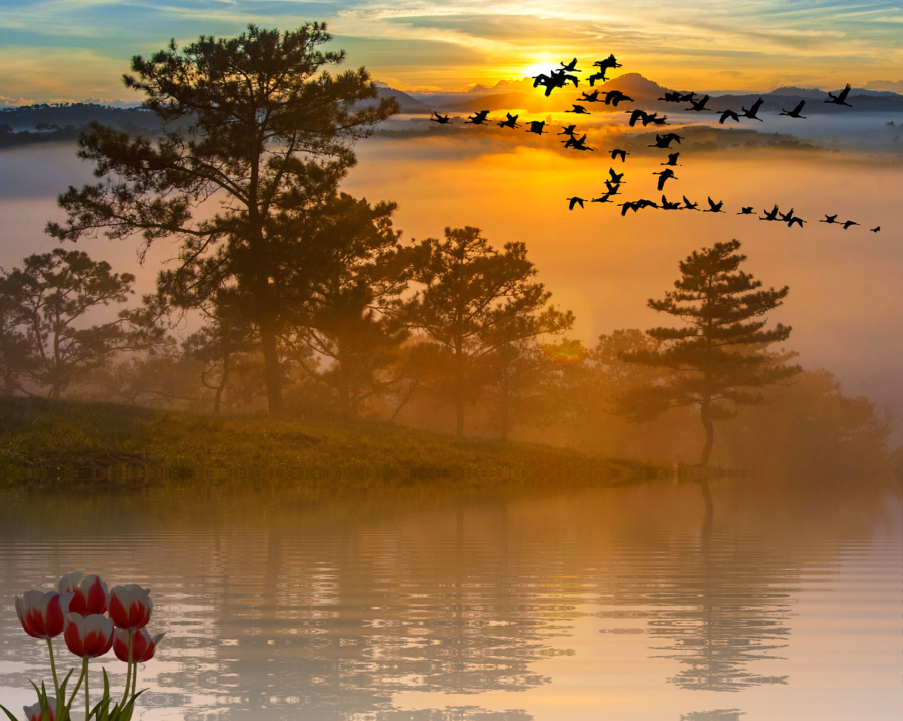 Reflection (425x340), Png Download