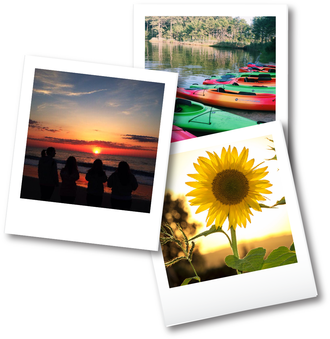 Tansey Warner Relaty Teams Up With Chamber To Host - Zazzle Sonnenblume-notizbuch Spiral Notizblock (1126x1148), Png Download