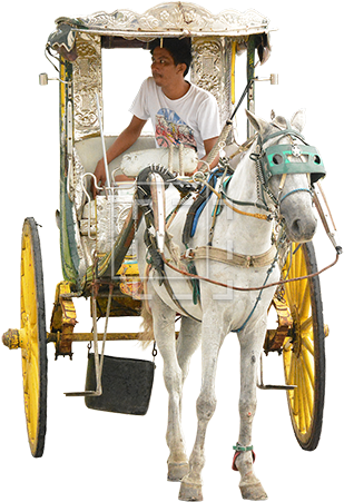 Parent Category - Driver Horse Png (450x450), Png Download