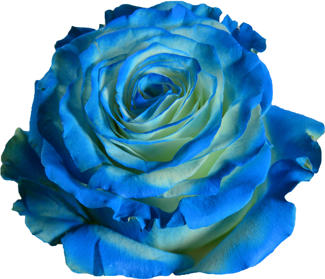 Blue Wave - Blue (1417x1417), Png Download