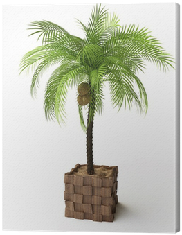 Palm Trees (400x400), Png Download