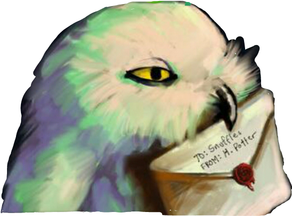 Harrypotter Hogwarts Gufi Lettere Love Cute Losa8765 - Harry Potter's Hedwig (584x462), Png Download