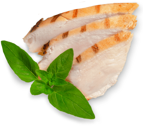 Left Vignette - - White Meat (581x630), Png Download