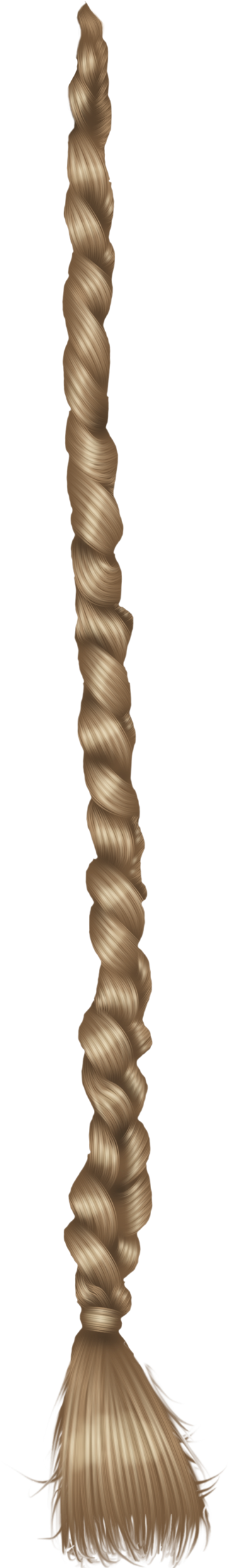 Bouton Imprimer Image Related - Long Hair Braid Png (708x2622), Png Download