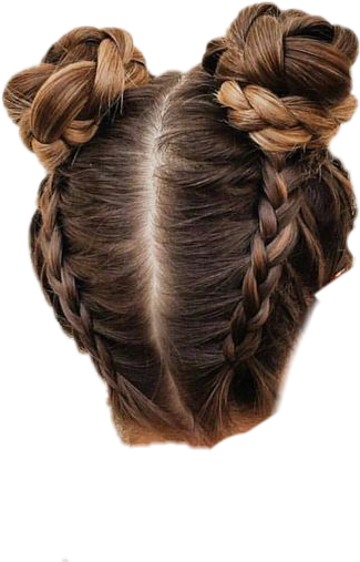 Hair Bun Buns Braid Braids Hairstyle Updo Hairdo - Bun Hairstyles (325x507), Png Download