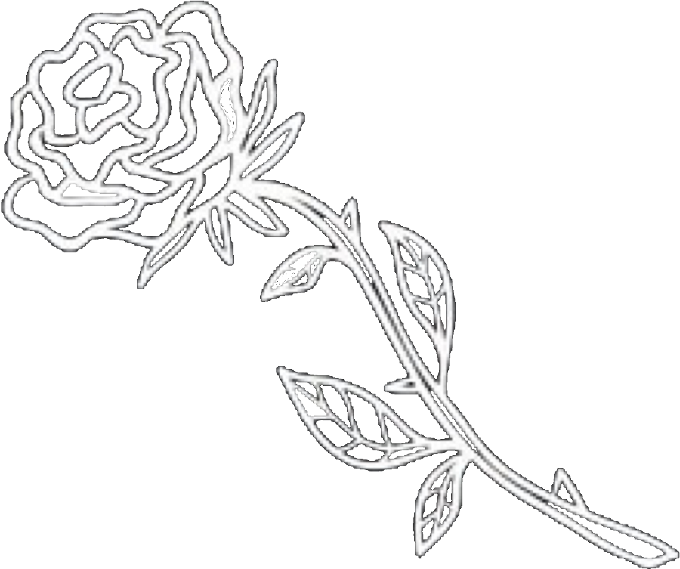 🖤🥀❣️beauty And The Beast ❣ 🥀🖤 Rose Petals Flower - Line Art (1145x1024), Png Download