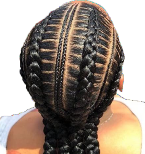 I've Had Several Of Her Braids Done At Various Renaissance - Trenzas De Moda Para Dama (505x539), Png Download