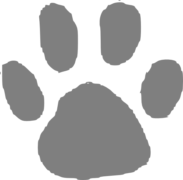 Drawing Footprints Bear Footprint - Polar Bear Paw Cartoon (600x591), Png Download