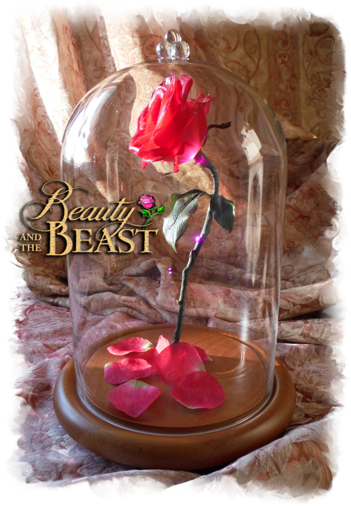 Download Free Beauty And The Beast Rose In Glass Beauty And The Beast