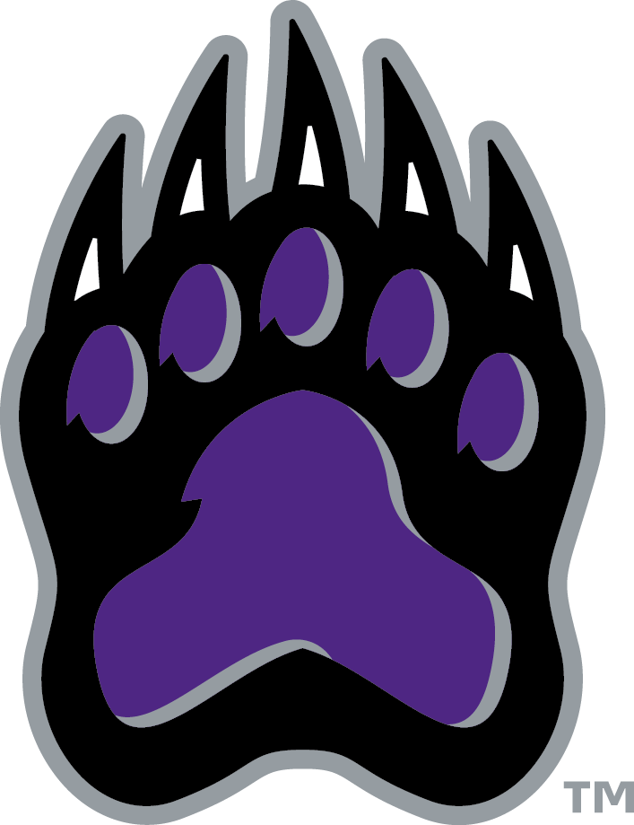 Go Bears - Central Arkansas Bears Logo (707x919), Png Download