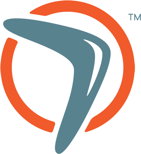 Yükle Cartoon Network Logo Chase - Boomerang Logo (600x600), Png Download