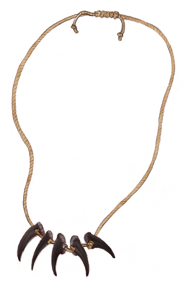 Bear Claw Necklace Bear Claw Necklace, Black Bear, - Necklace (616x920), Png Download