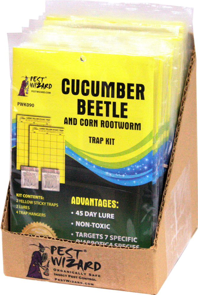 Case Of Cucumber Beetle Kits - Cucumber Beetle (753x1069), Png Download