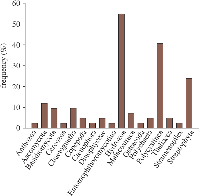Frequency Of Prey Taxa In Guts Of 42 Larvae Of A - Frequency (688x682), Png Download