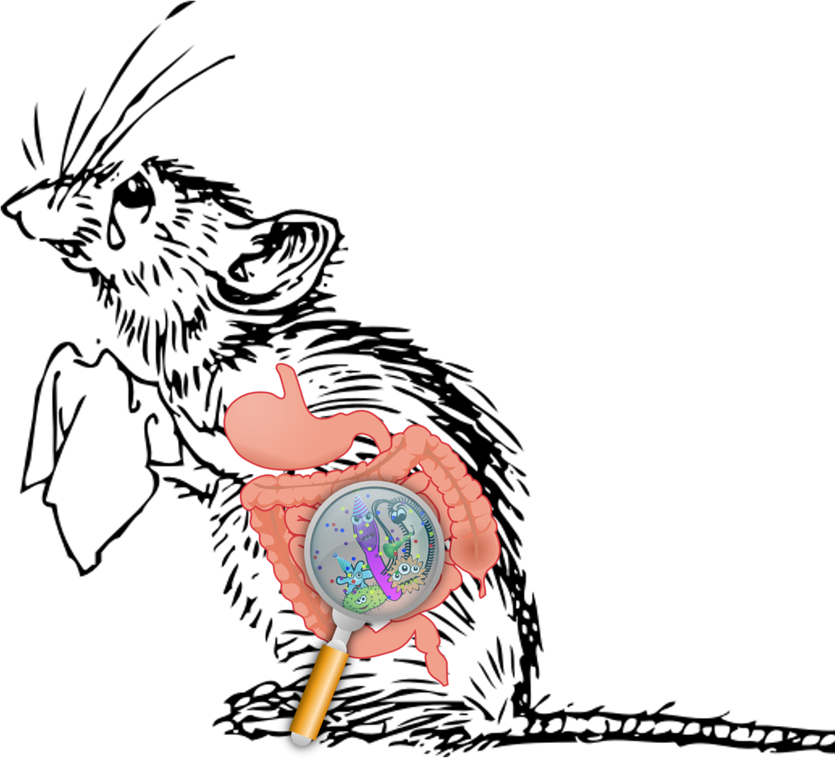 The Brain And Gut Have A Communication Line Through - Sad Mouse Cartoon (1176x1080), Png Download