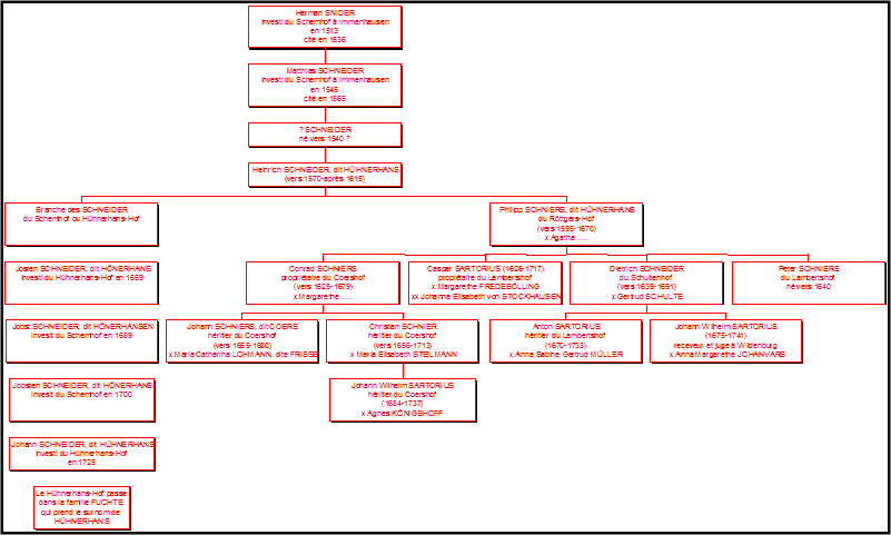 The First Sartorius - Diagram (801x481), Png Download