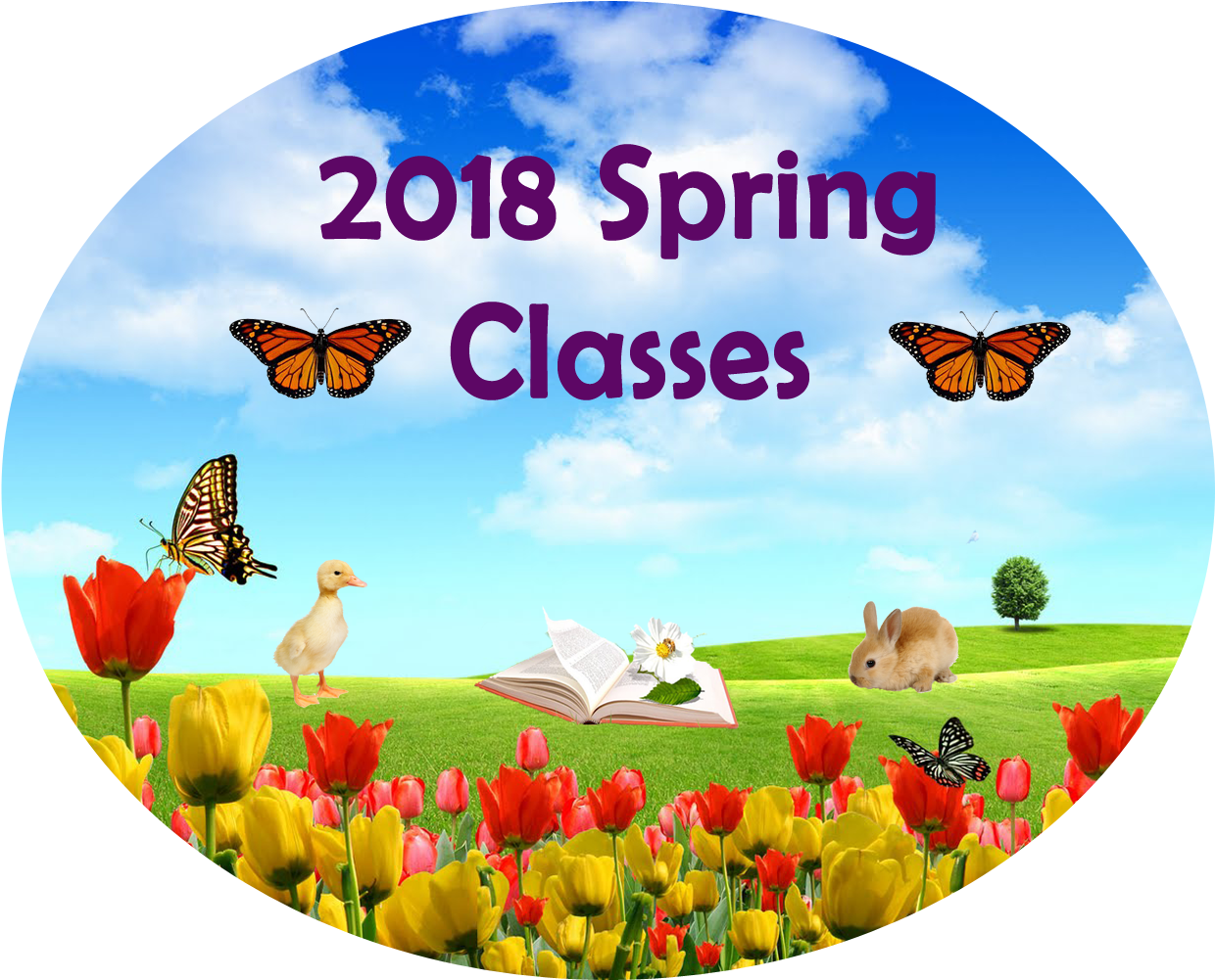 Spring Background - Maravilhoso Domingo (1600x1000), Png Download