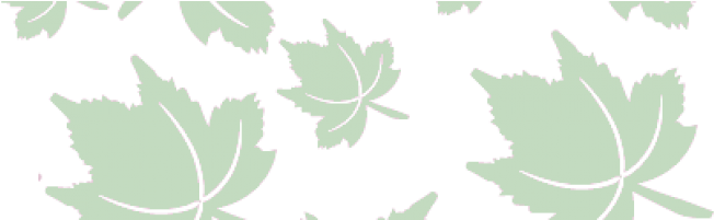 Spring-background - Maple Leaf (736x200), Png Download