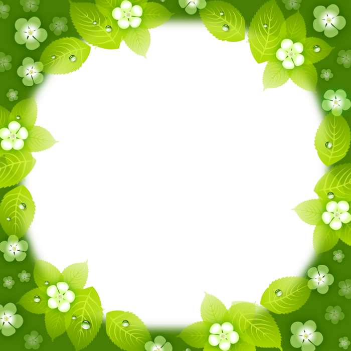 Download Picture Frame Full Size PNG Image PNGkit