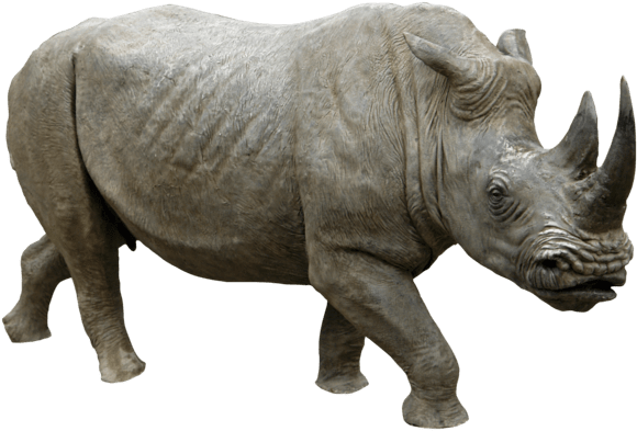 Animals - Rhinoceros - Rhino Png (600x403), Png Download