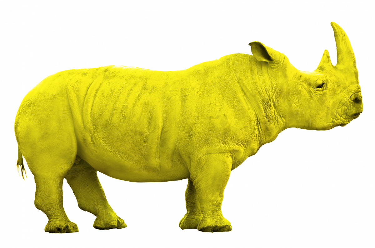 желтый носорог воронеж. белый носорог. носорог кафе волгоград. антикафе желтый носорог воронеж. жёлтый носорог воронеж кафе.