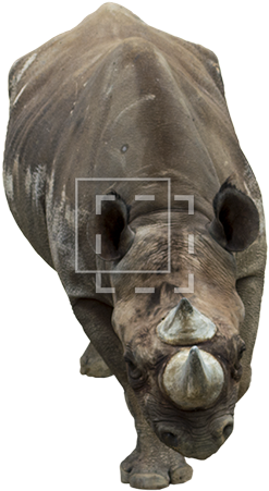 Parent Category - Sculpture Front View Png (450x450), Png Download
