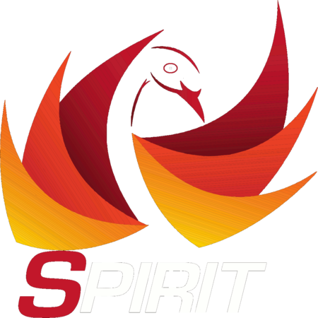 Spirit Martial Arts Tagged "nunchaku" Spirit Martial - Spirit Martial Arts Supplies (450x450), Png Download