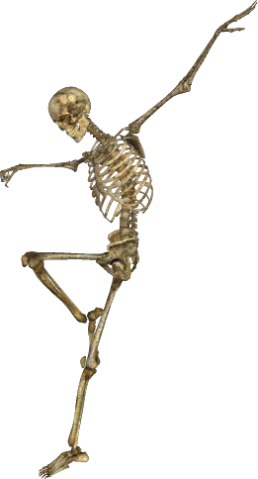 Skeleton-051 - Portable Network Graphics (258x479), Png Download