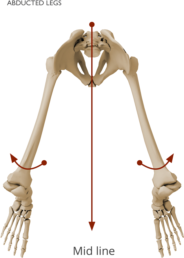 Skull (704x1000), Png Download