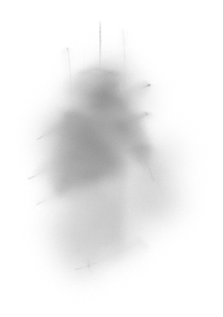 Top - Monochrome (317x450), Png Download