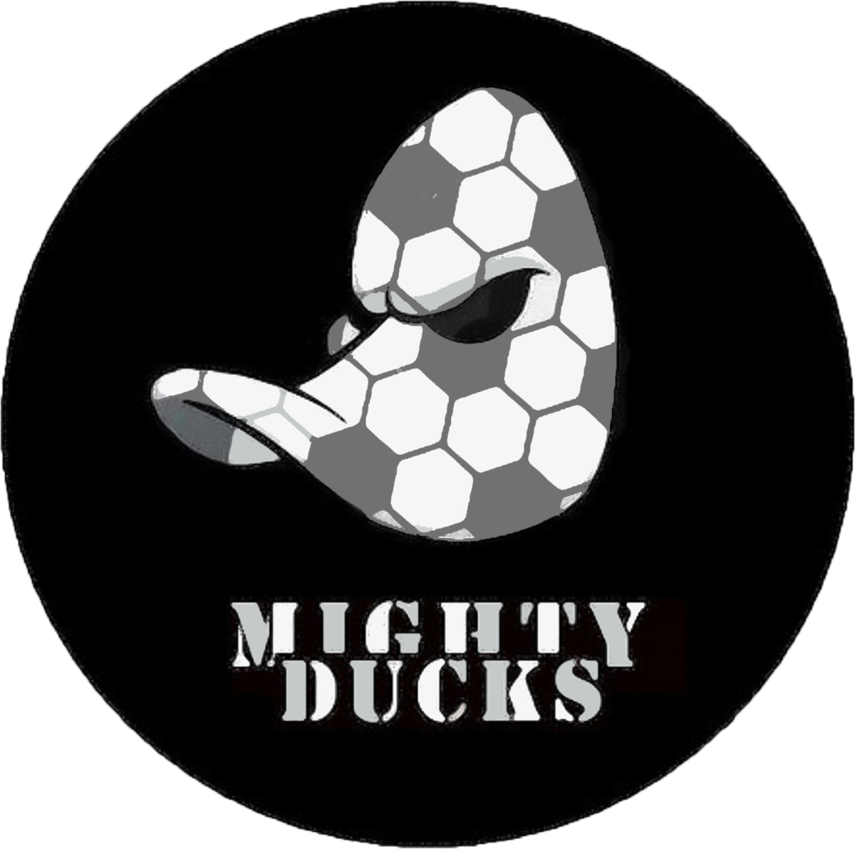 Mighty Ducks Hysl Fans - Graphic Design (1200x1191), Png Download