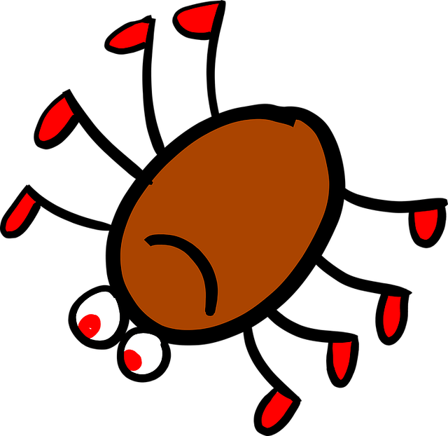 Spider Jokes For Kids - Kids Spider (640x622), Png Download