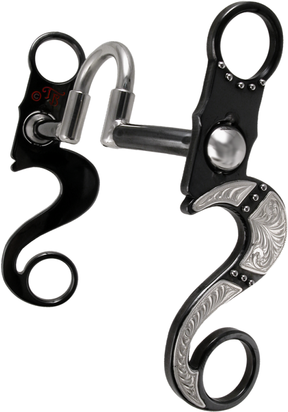 Earrings (650x879), Png Download