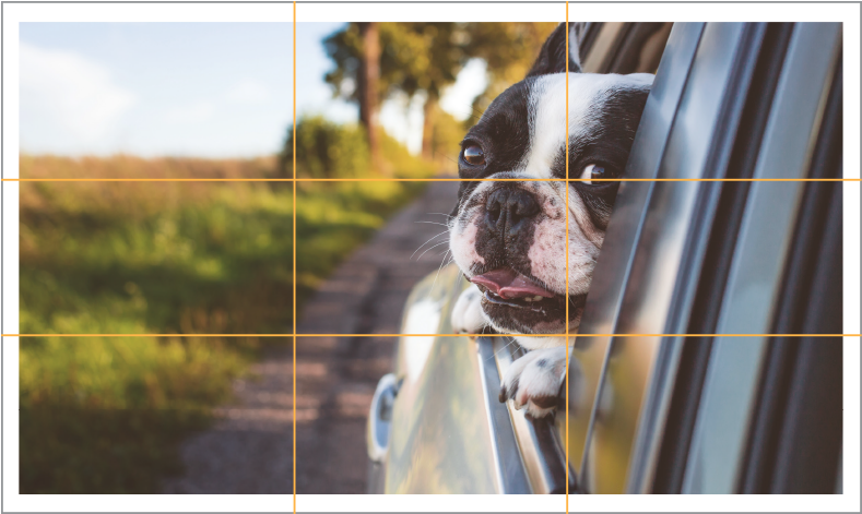 Remembering The Rule Of Thirds May Be Hard To Apply - Adjustable Dog Pet Car Safety Seat Belt Restraint Lead (800x489), Png Download