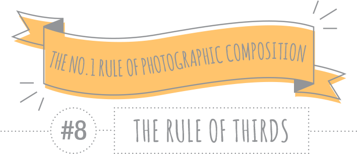We Began Diving Into Composition As Part Of Our Calendar - Photography (800x331), Png Download