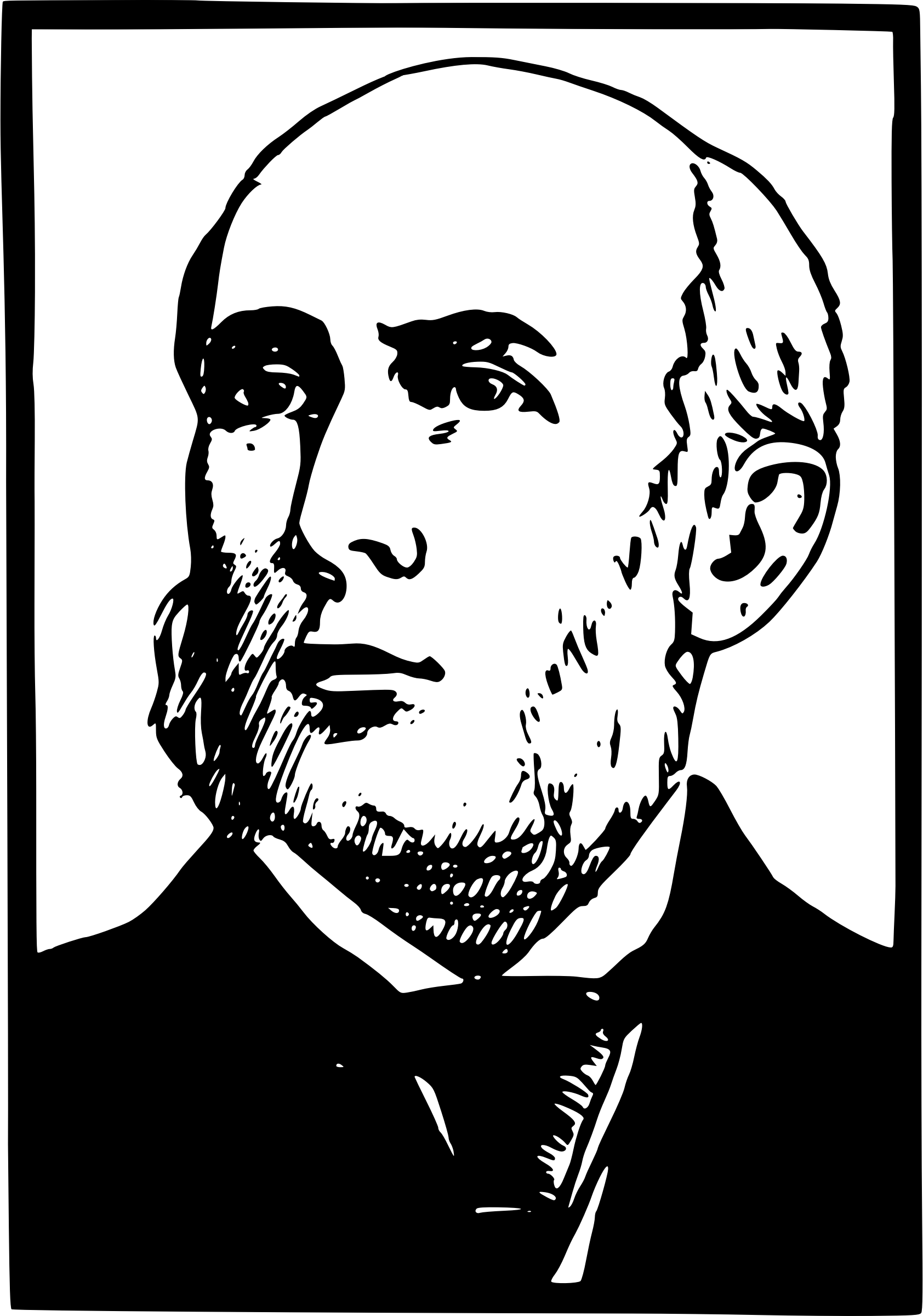 Big Image - Hair Loss (1684x2400), Png Download