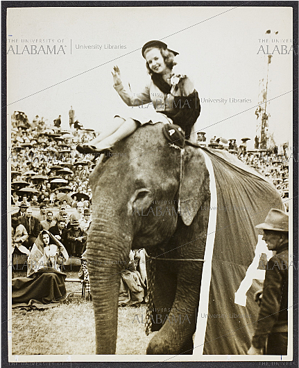 Lee Corso Riding An Elephant (1138x548), Png Download