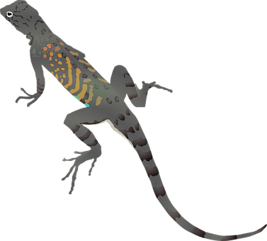 Lizard Gecko Dragon Animal Cartoon Reptile - Lizard Clip Art No Background (377x340), Png Download