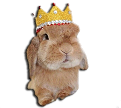 Gemma's Bunny - Rabbit (400x355), Png Download