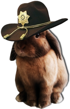 Gemma's Carl Bunny - Rabbit (355x400), Png Download