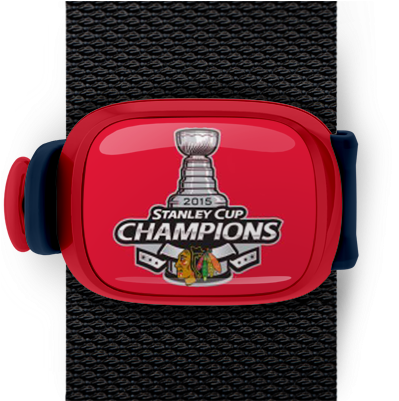 2015 Stanley Cup Champions, Chicago Blackhawks Stwrap - Chicago Blackhawks Premium Banner- 17x26 - 2015 Champion (550x400), Png Download