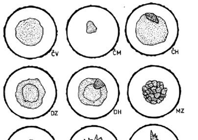 Forms Of False Core - Line Art (850x286), Png Download