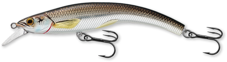 202 Silver / Black - Livetarget Yearling Baitball Rattlebait - Live Target (750x222), Png Download