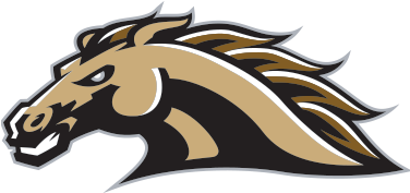 #69 Western Michigan Broncos - Western Michigan Hockey Logo (375x375), Png Download