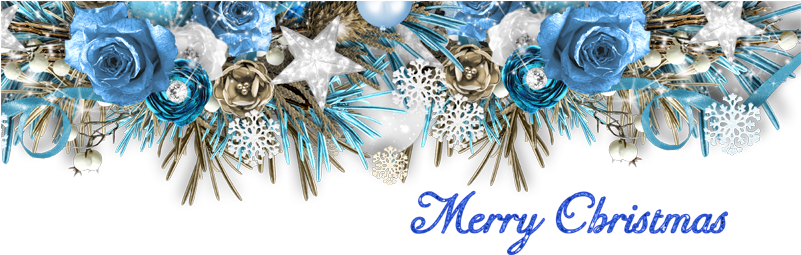 Made You All A Topper In Png Format, You Can Even Eliminate - Blue Rose (800x268), Png Download