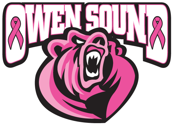 The Canadian Cancer Society Is Partnering With - Sudbury Wolves At Owen Sound Attack (612x792), Png Download