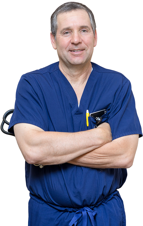 Goldberg, Md - Tucson (491x753), Png Download