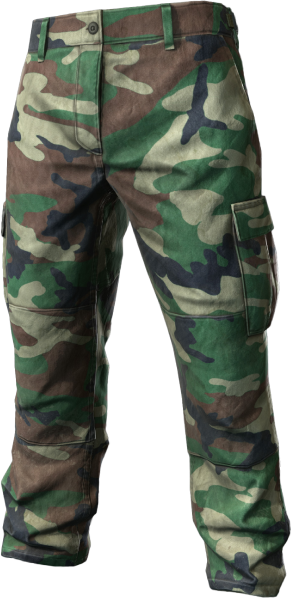 Dayz Cargo Pants (291x598), Png Download