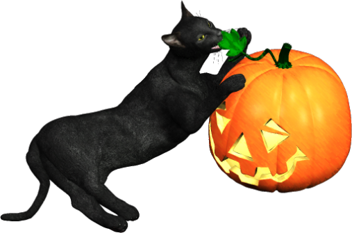 Cat (507x335), Png Download